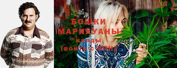 МДМА Ельня