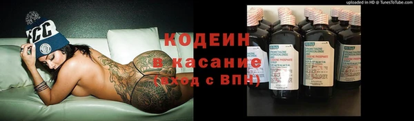 твердый Елизово